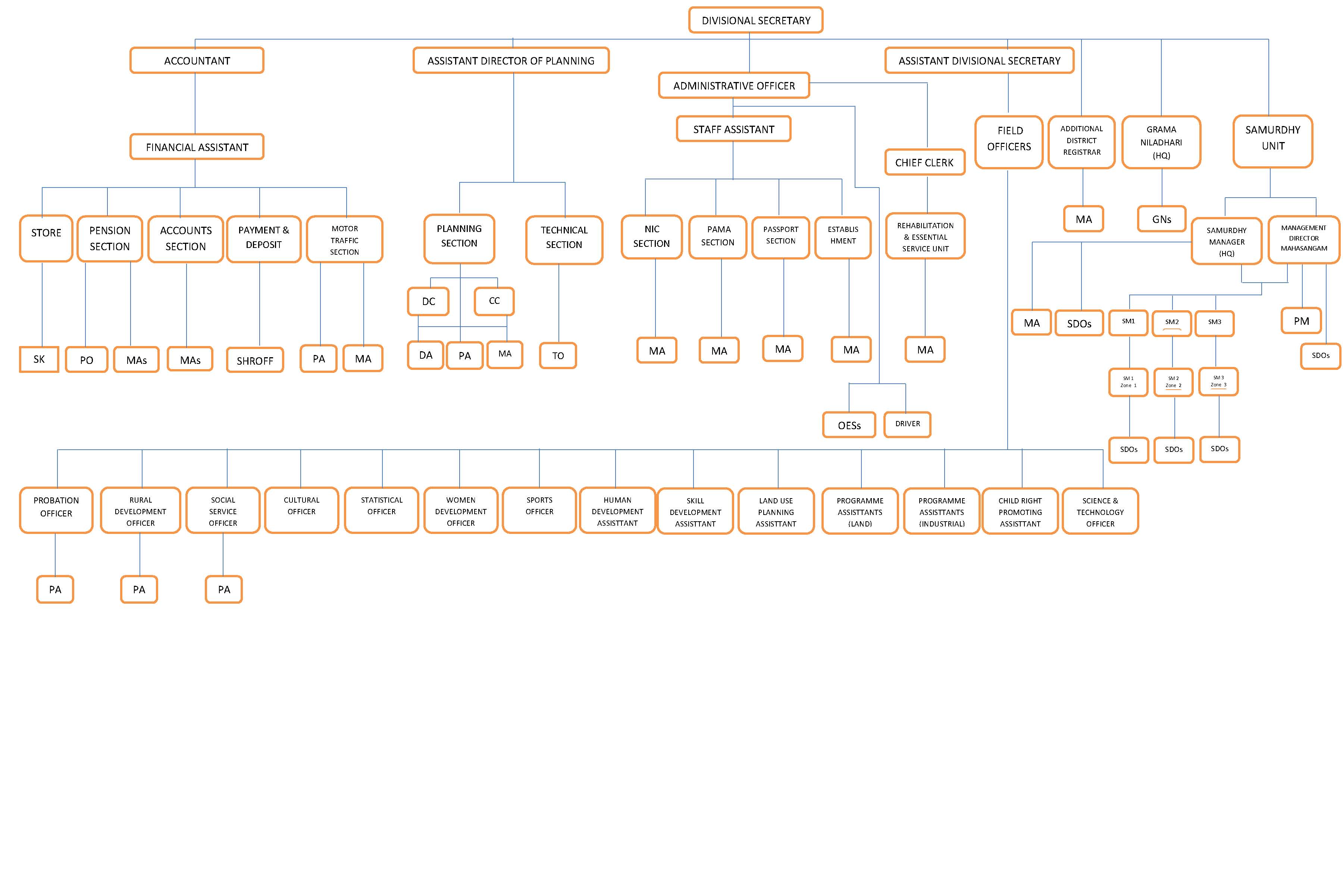 organaisation chart pdf 2