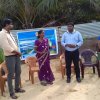 COCONUT TREE PLANTING