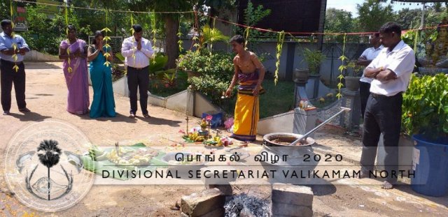 Pongal-11