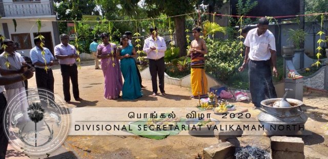 Pongal-13