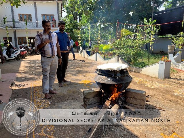 Pongal-15