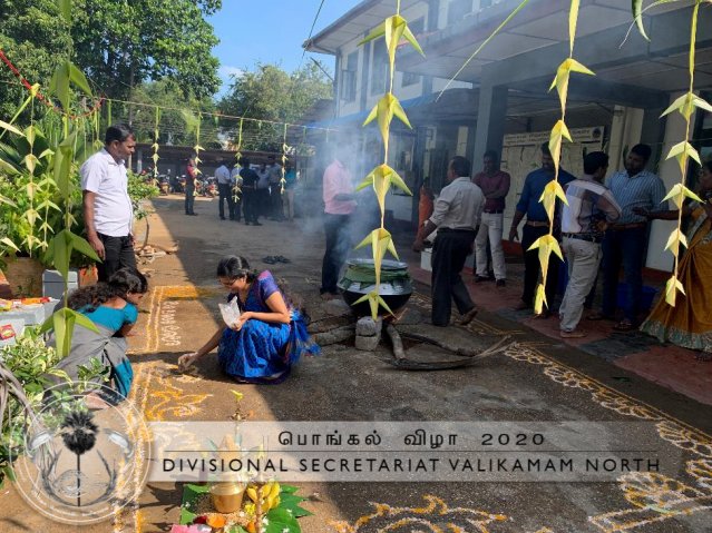 Pongal-16
